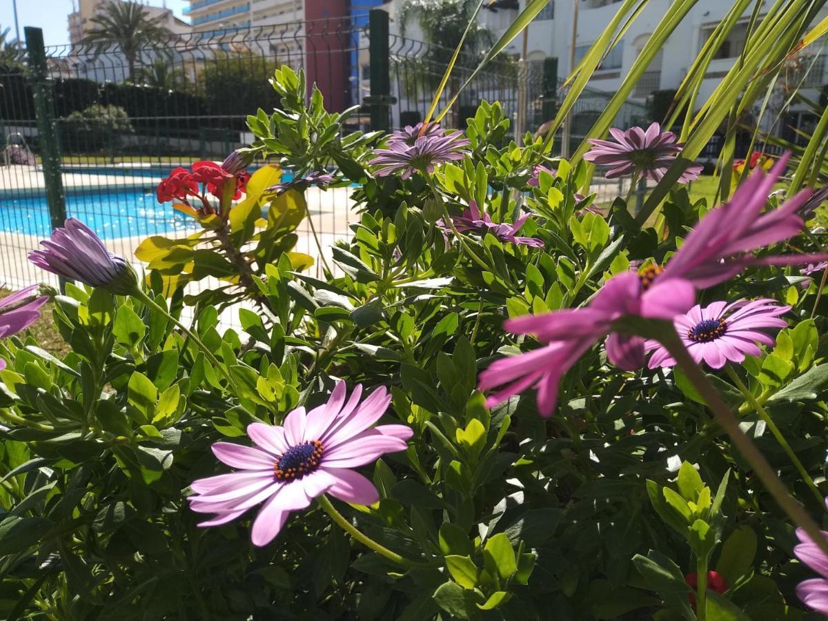 Apartamento Con Piscina Y Terraza Junto A La Playa Appartement